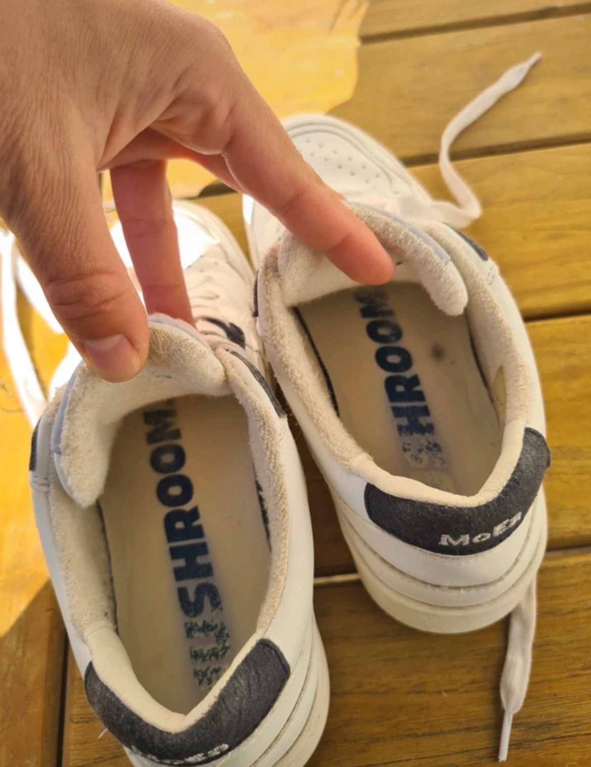 Baskets vegan en matière végétale | bleu 'gen 1 mushroom white & navy'