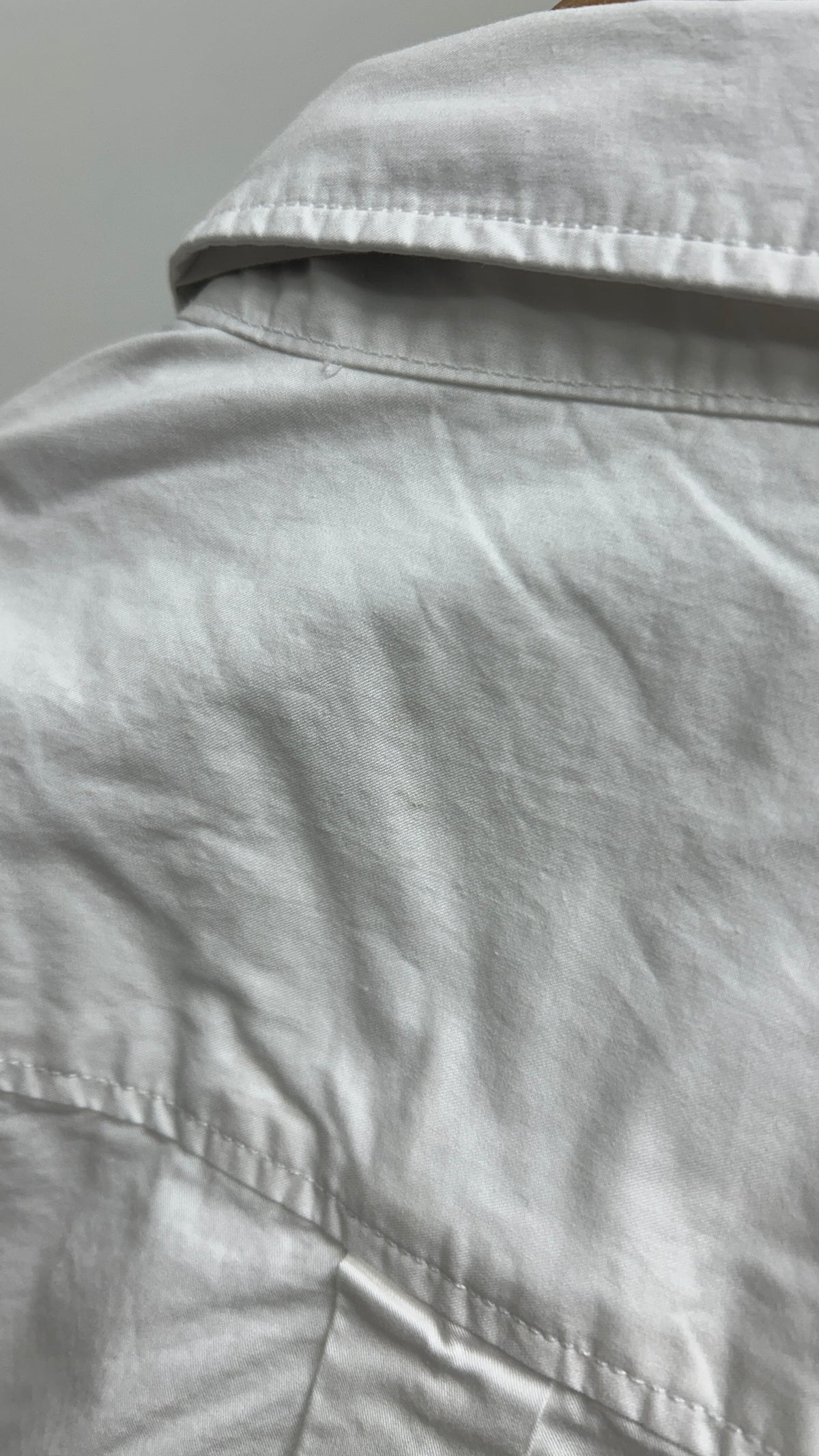 Chemise en coton bio - ALF regular crispy cotton shirt