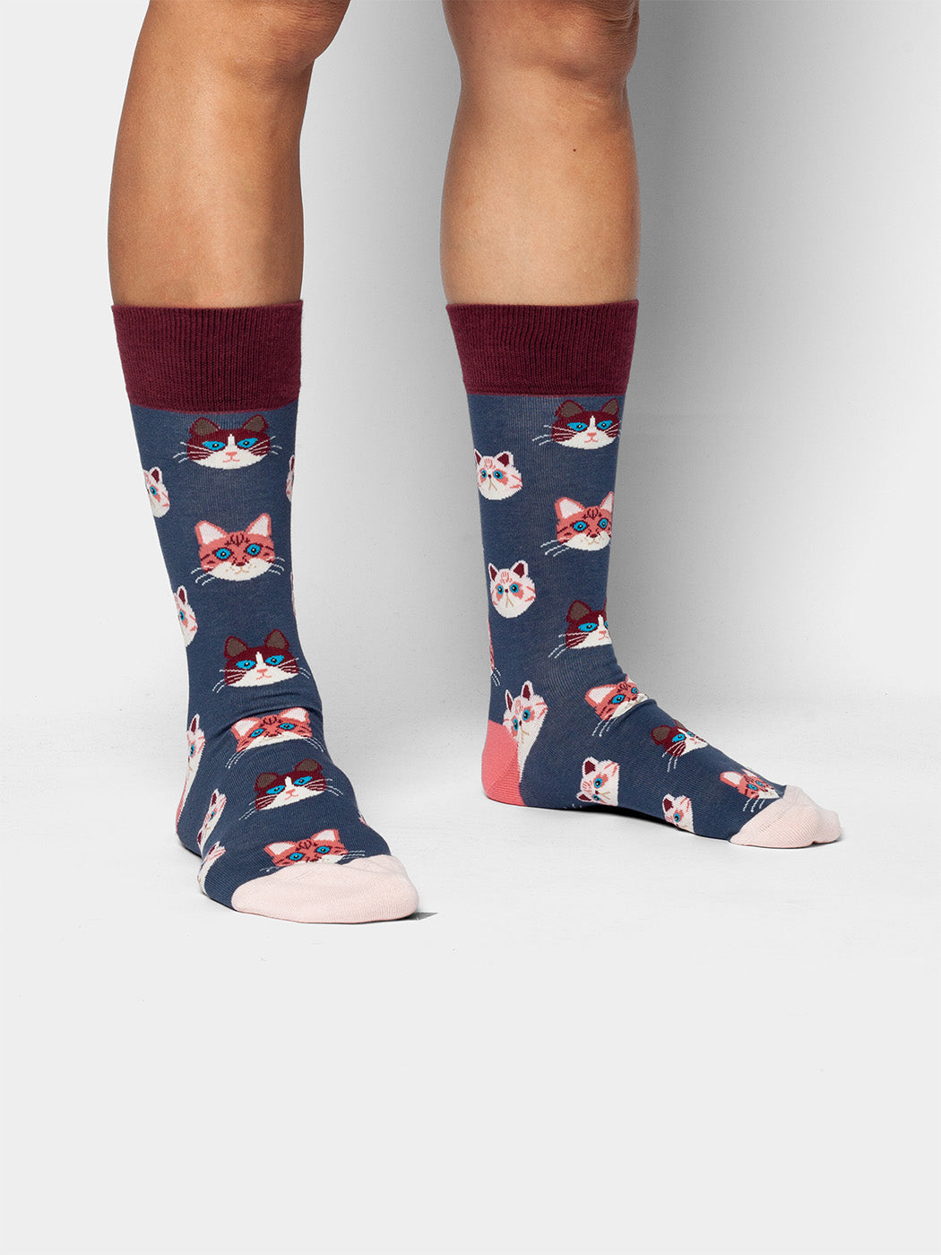 Chaussettes à motifs en coton bio | bleu "sky kitten"