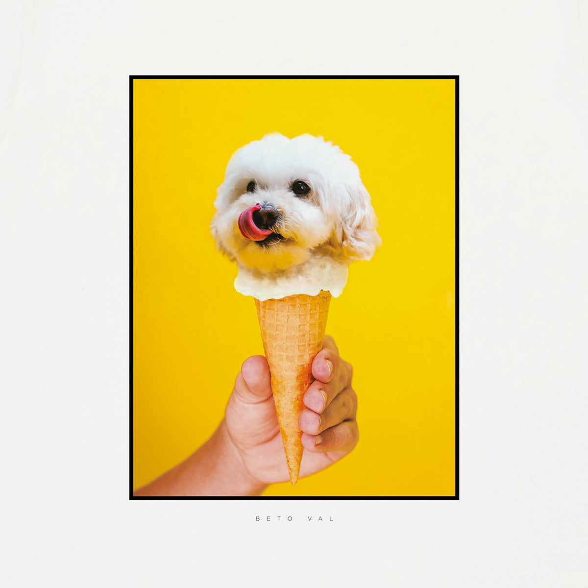 T-shirt imprimé en coton bio | blanc "dog icecream natural"