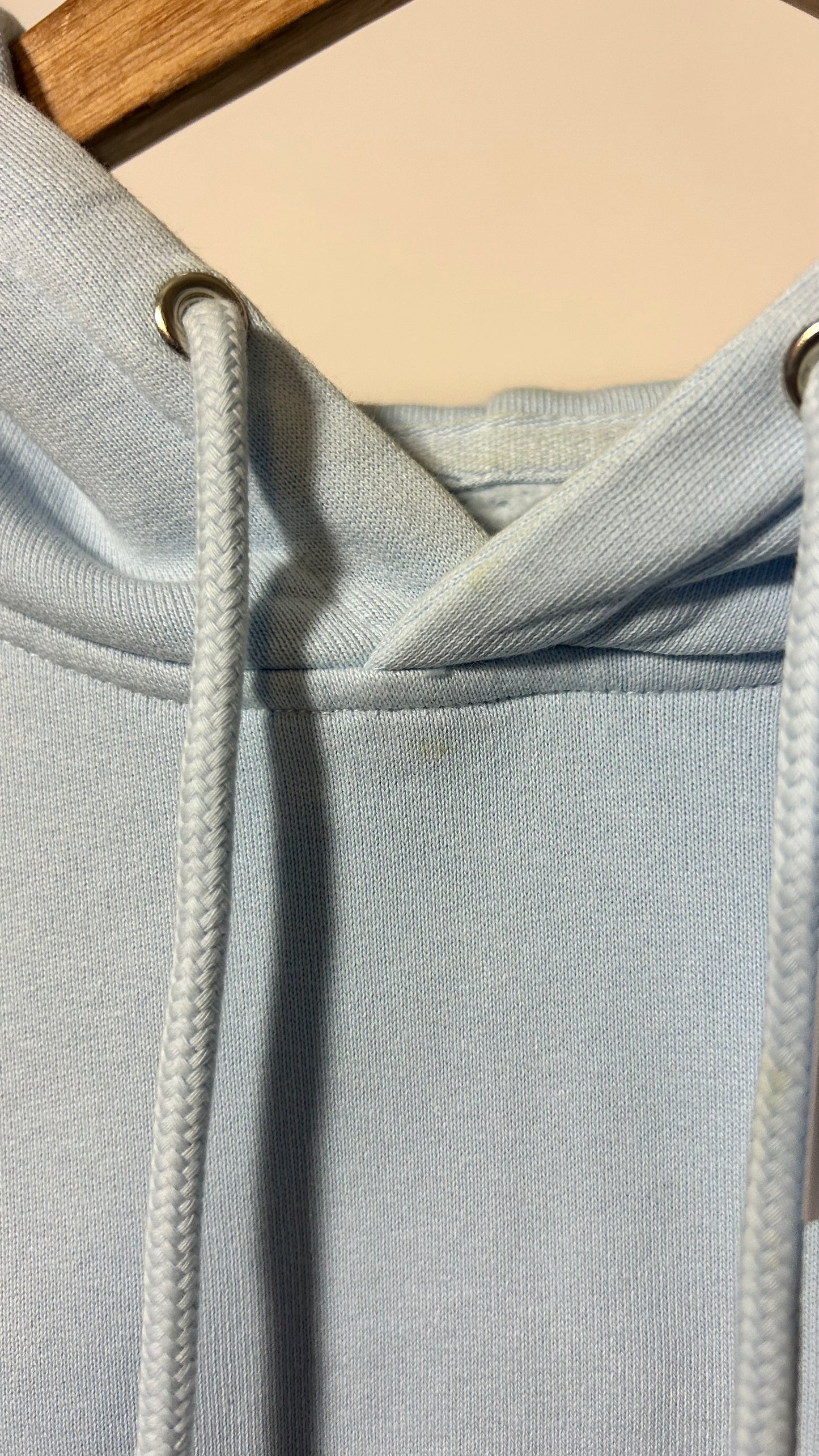 Sweat à capuche en coton bio | bleu 'Polar blue'