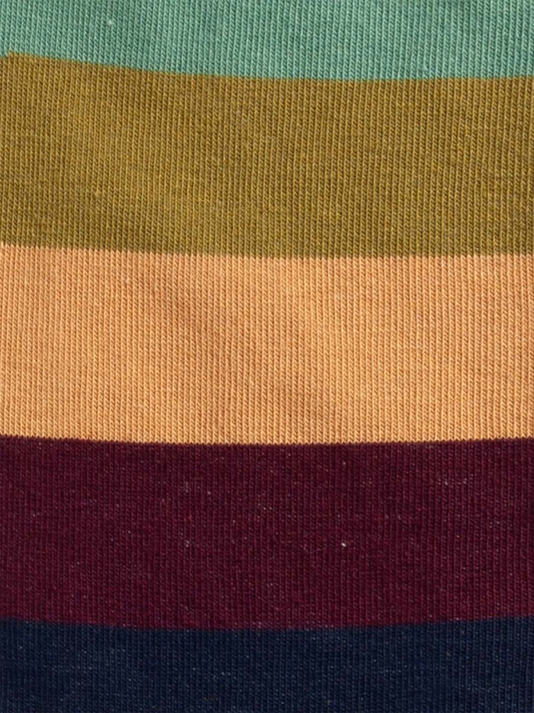 Chaussettes en coton bio | multicolore "fall sky lining - multicolor stripes"