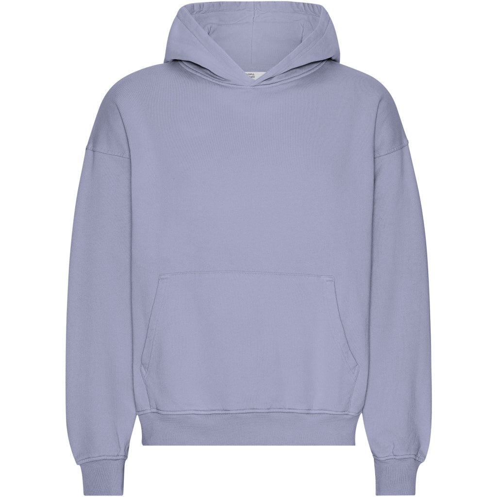 Sweat à capuche oversize en coton bio | violet "purple jade"