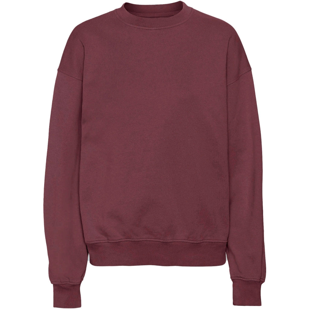Sweat mixte oversize en coton bio | prune "oversized crew dusty plum"