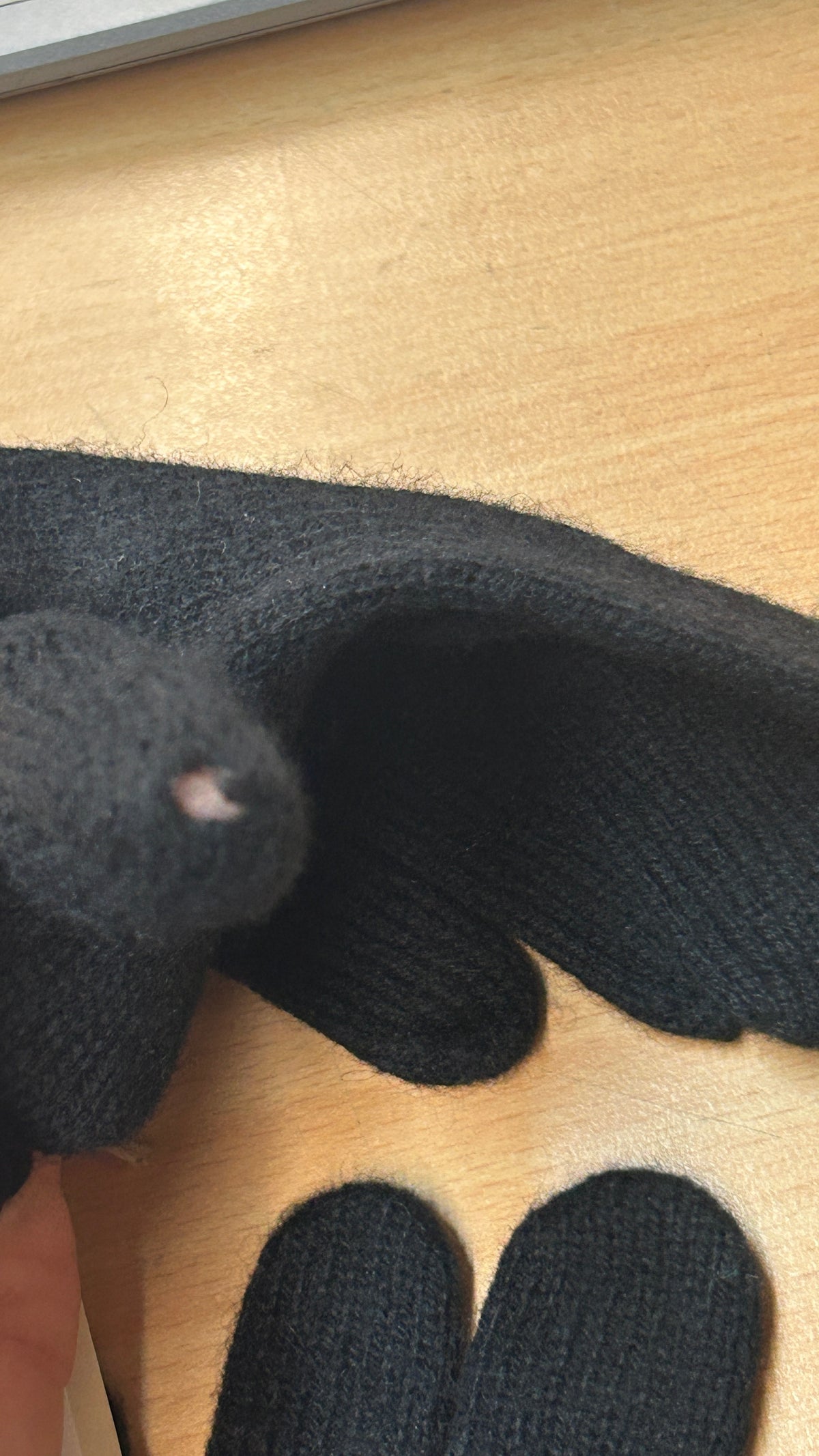 Gant en laine merinos recyclées | noir 'wool gloves - deep black'