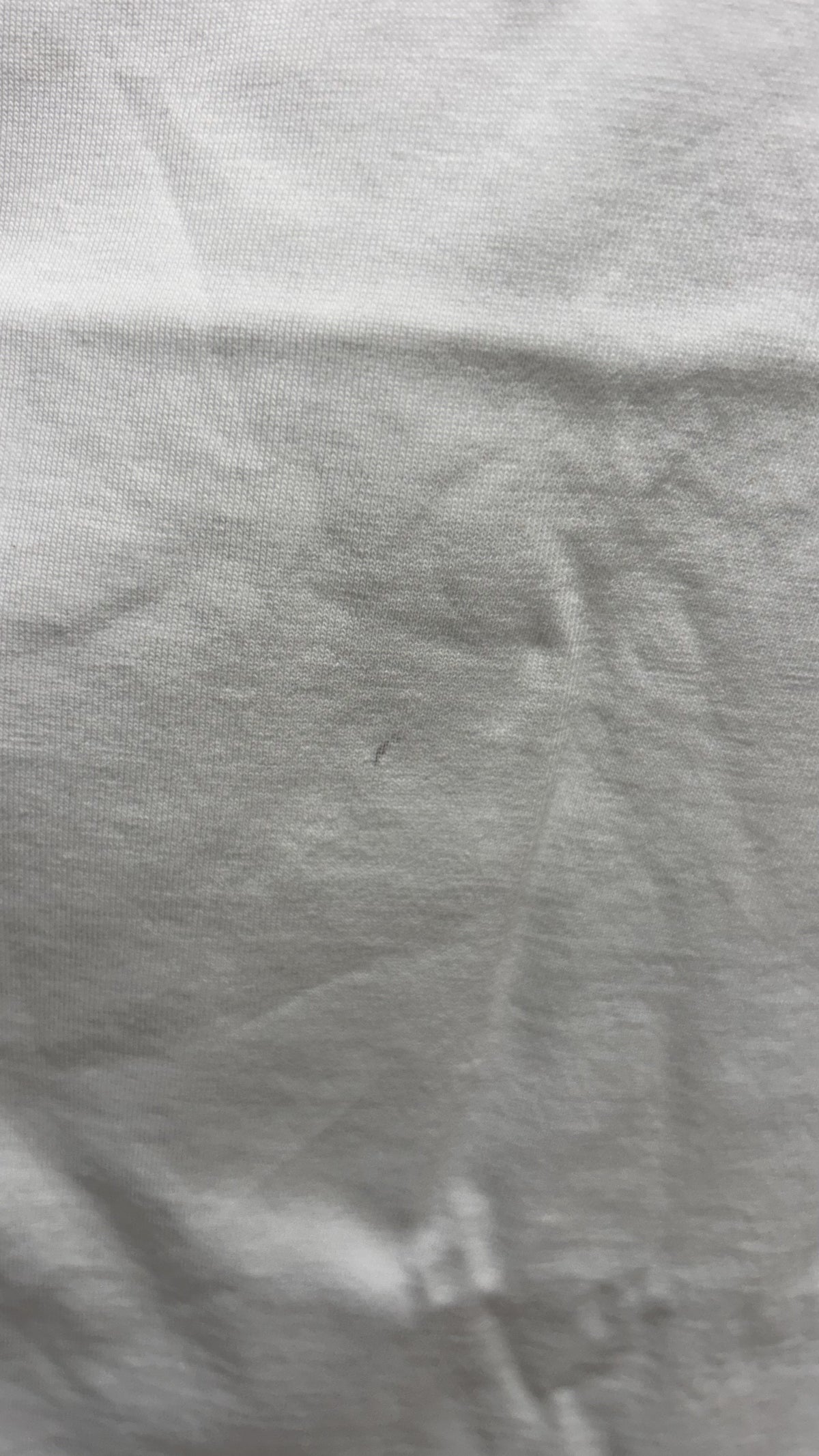 t-shirt en coton bio | blanc