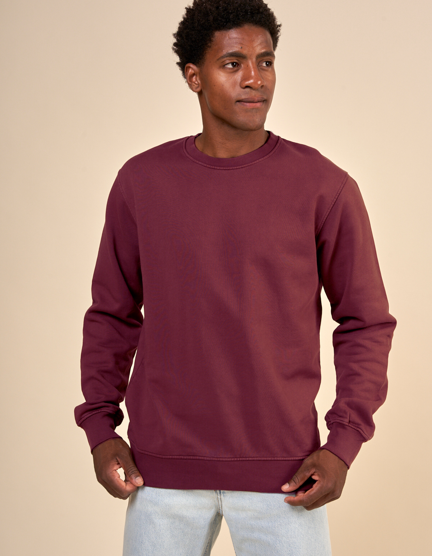 Sweat mixte oversize en coton bio | prune "oversized crew dusty plum"
