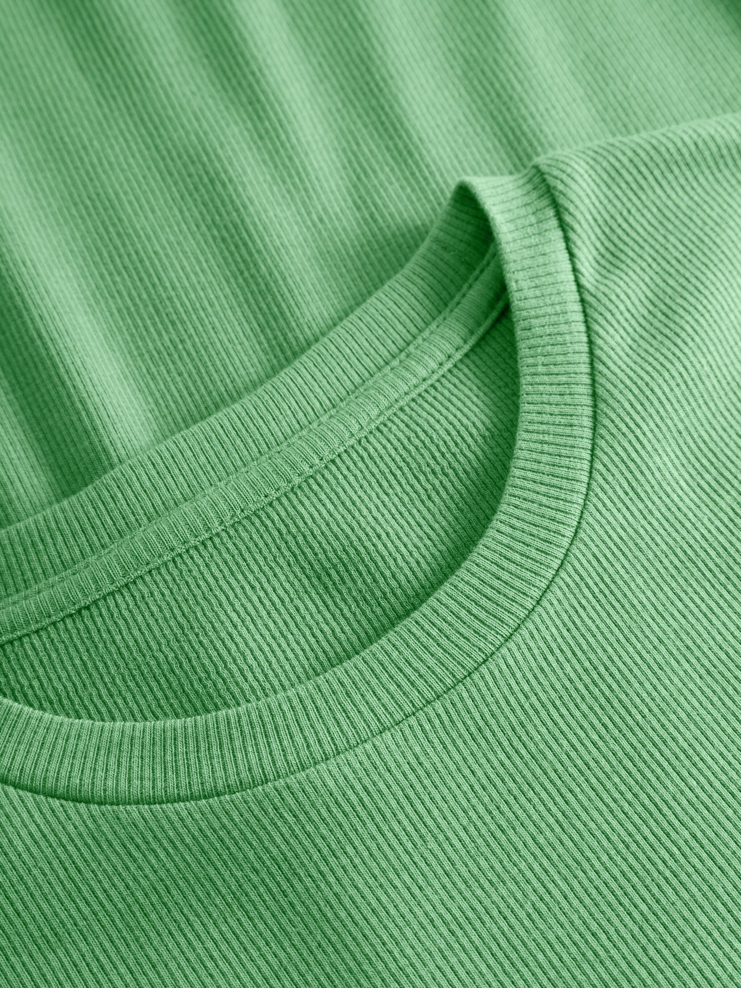 T-shirt en coton bio | vert "rib t-shirt shale green"