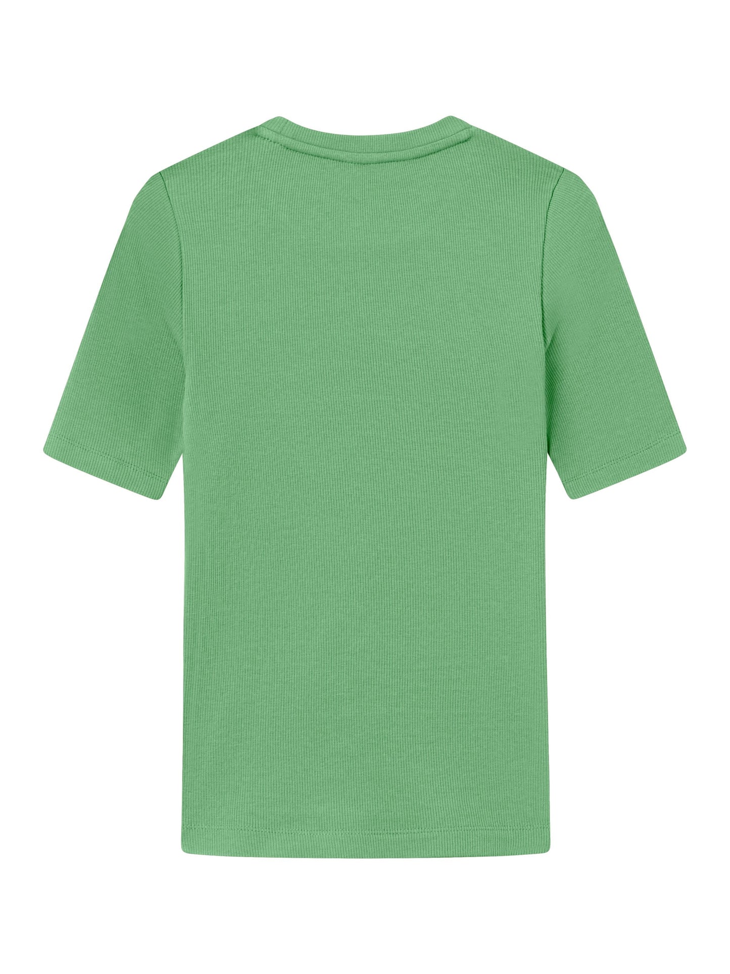 T-shirt en coton bio | vert "rib t-shirt shale green"