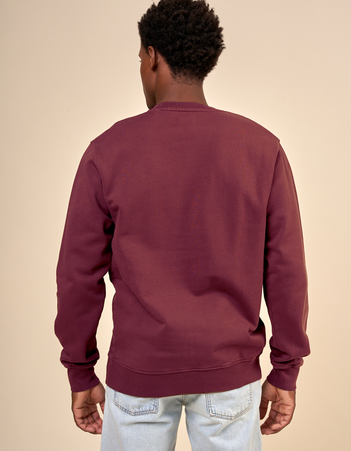 Sweat mixte oversize en coton bio | prune "oversized crew dusty plum"