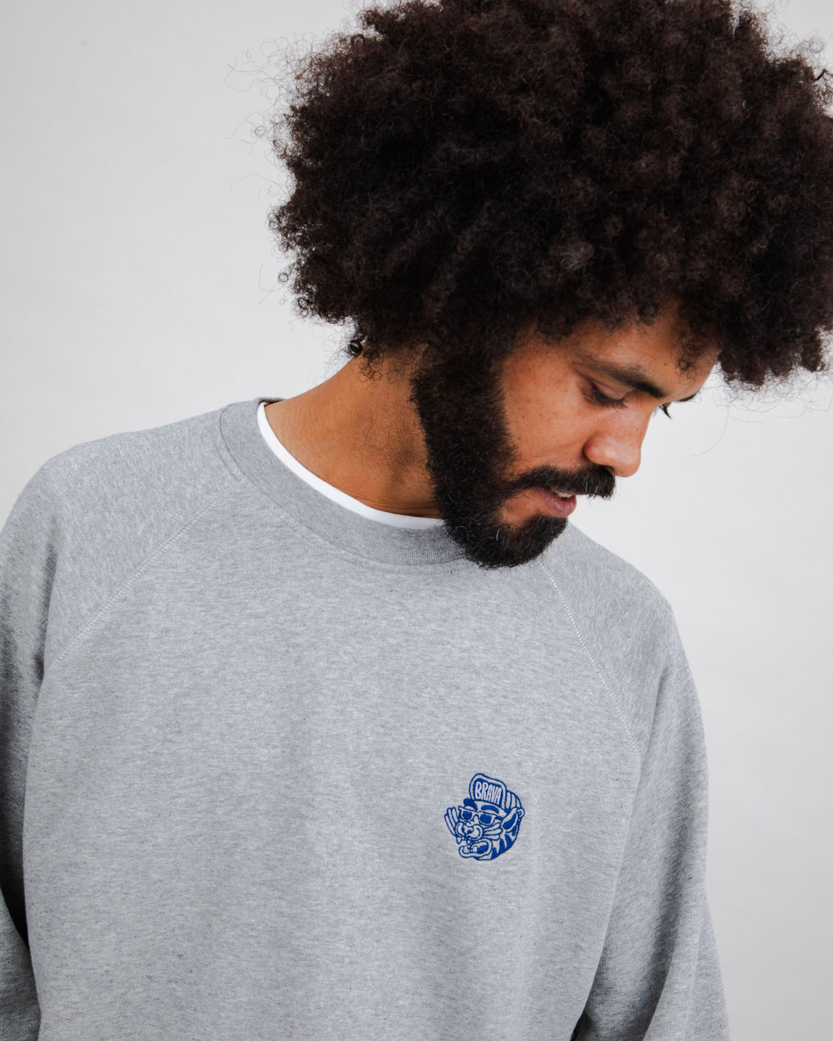 Sweat en coton bio | gris "asis percales tigris sweatshirt grey"
