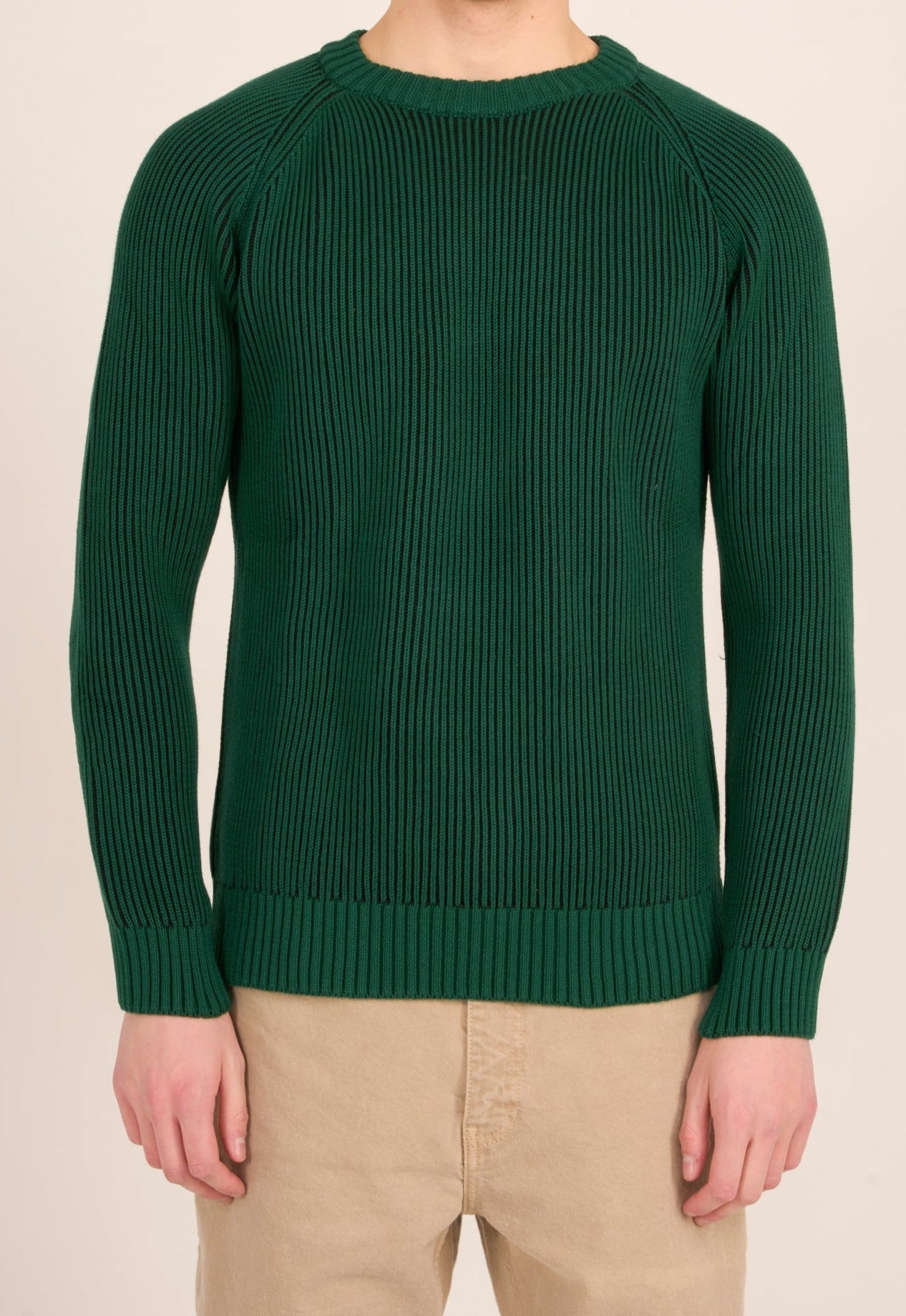 Pull bicolore vert foncé maille en coton bio - rib raglan crew neck knit trekking green