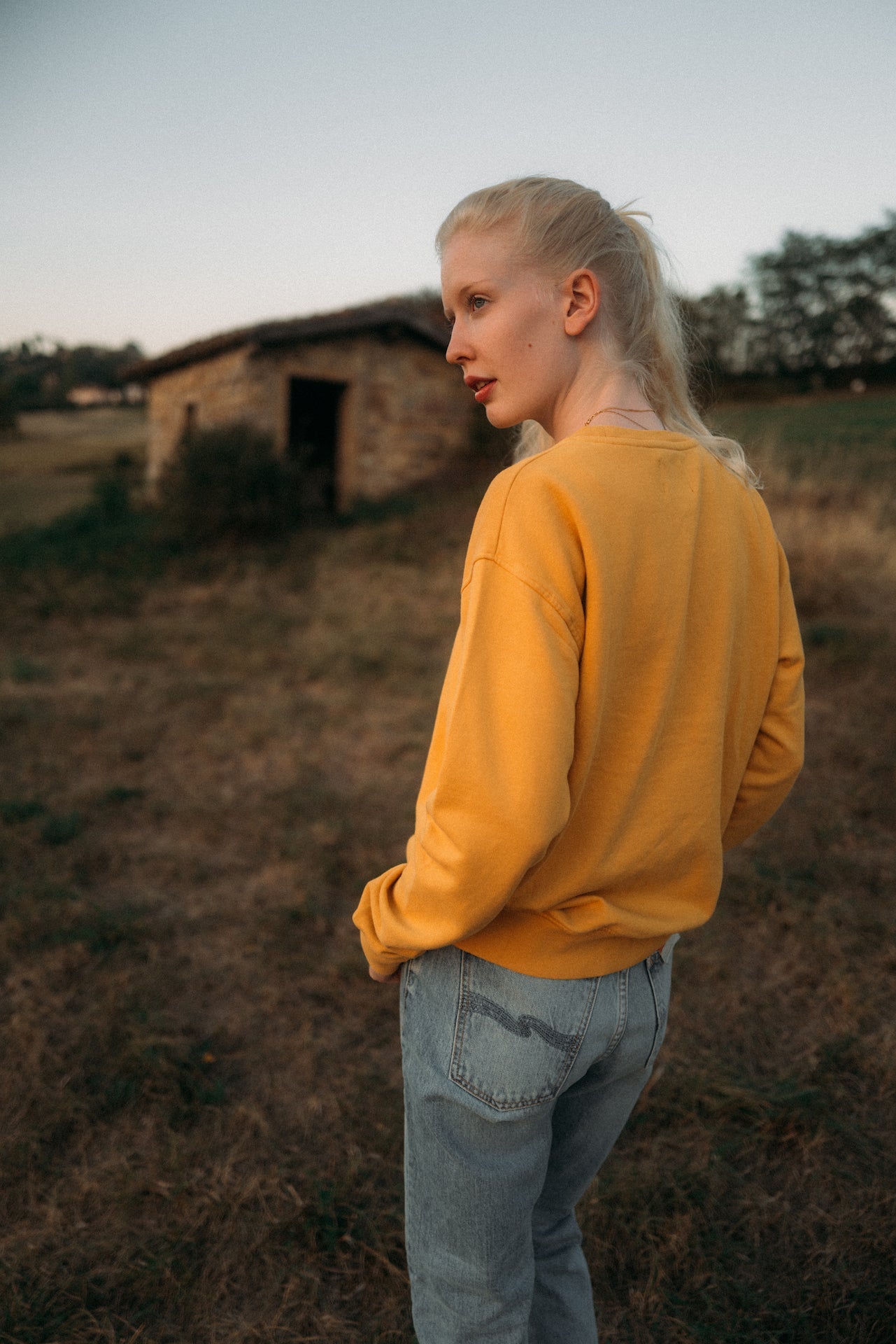 Sweat en coton bio | jaune moutarde "Burned Yellow"