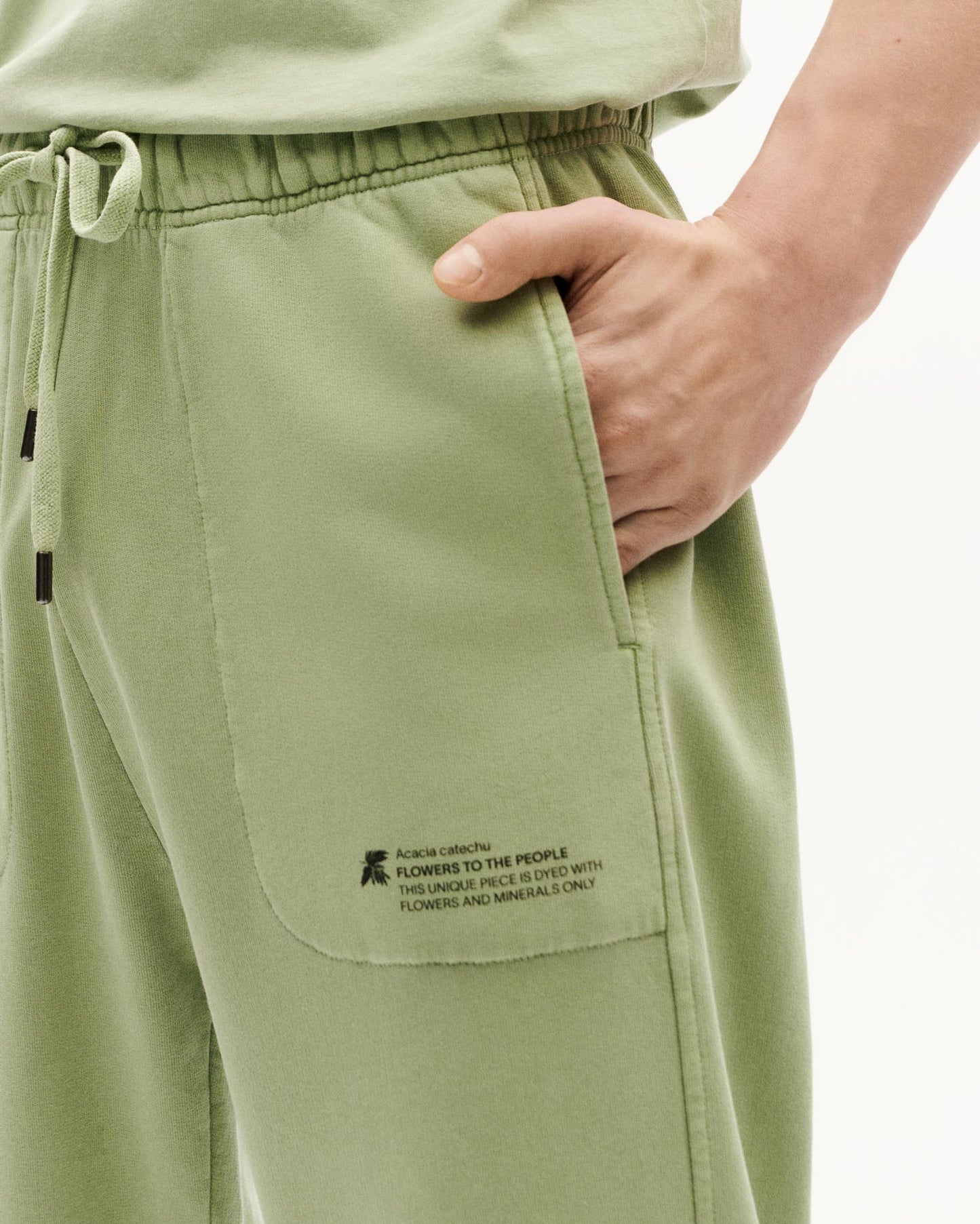 Jogging en coton bio | vert "acacia ftp alexander pants green"