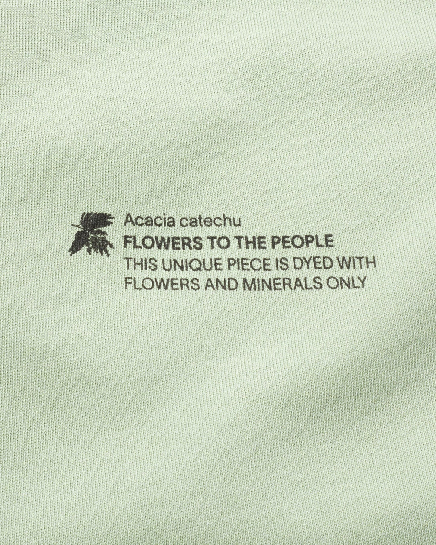 Sweat en coton bio | vert "acacia ftp sweatshirt green"