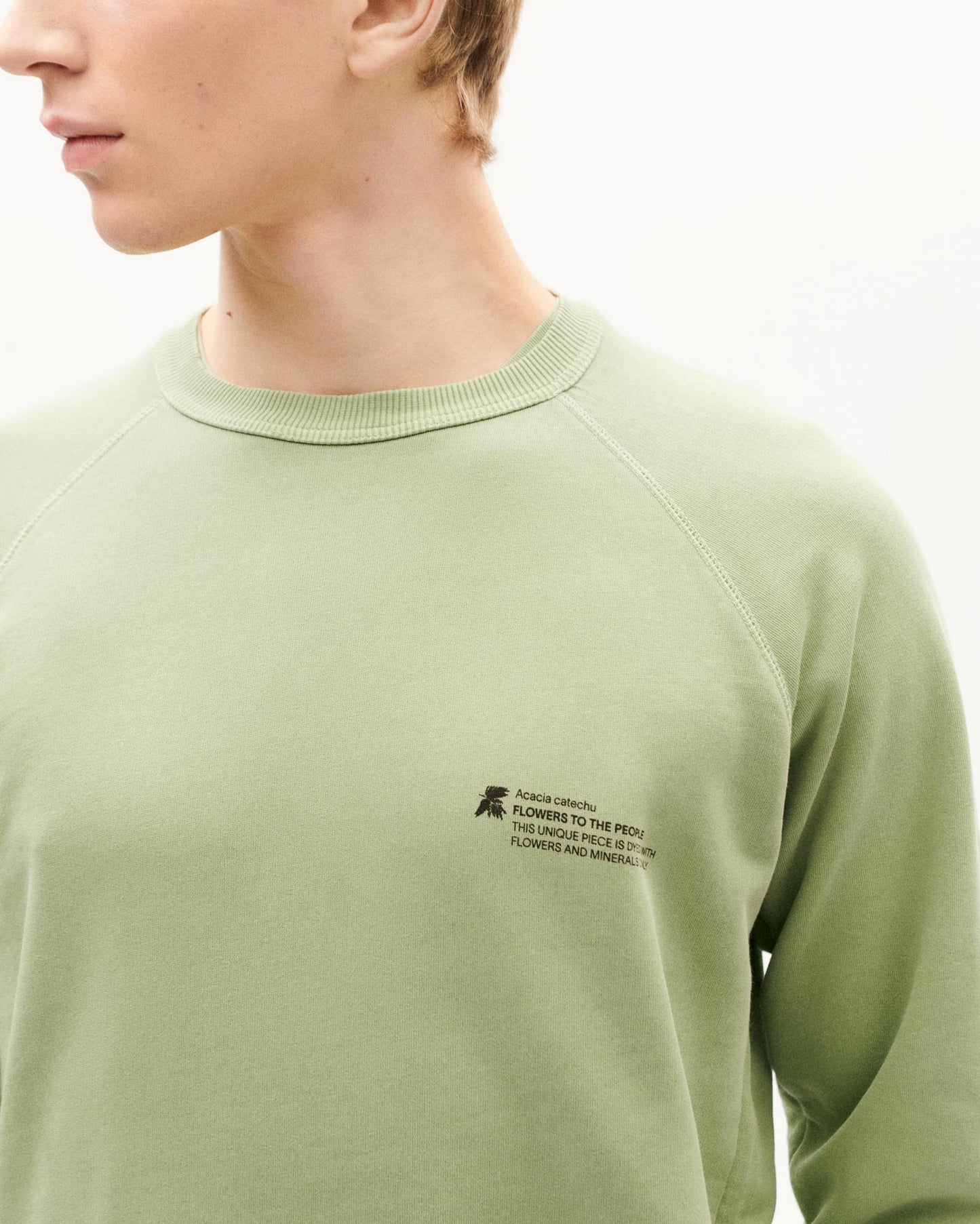 Sweat en coton bio | vert "acacia ftp sweatshirt green"
