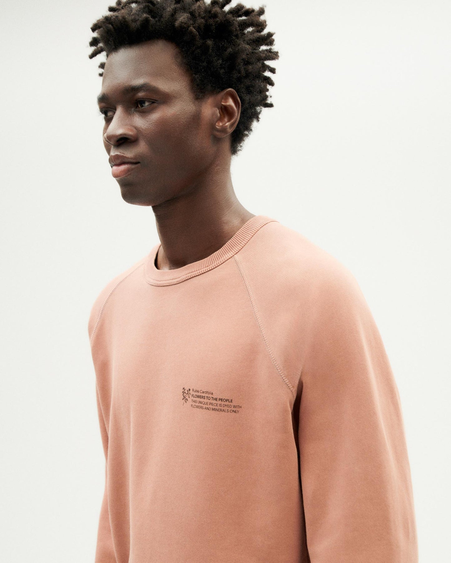 Sweat en coton bio | rose "rubia cardifolia ftp sweatshirt red"