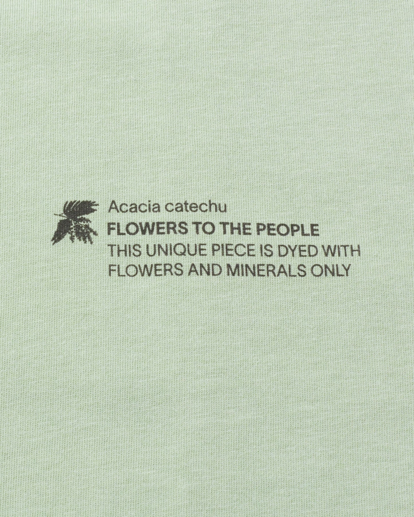 T-shirt en coton bio | vert "acacia ftp t-shirt green"
