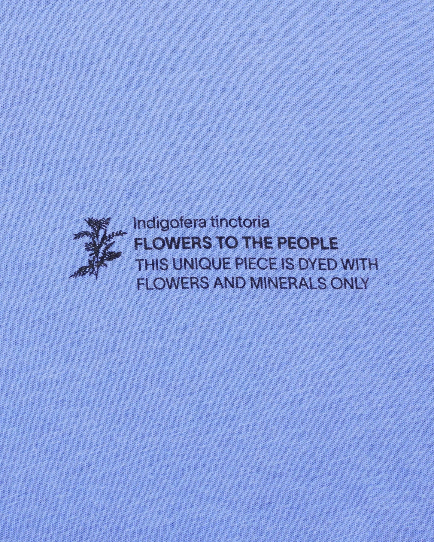T-shirt en coton bio | bleu "indigofera ftp t-shirt blue"