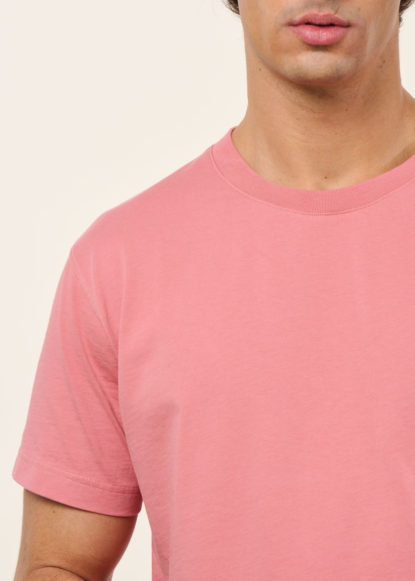 T-shirt en coton bio | vieux rose | Vieux rose