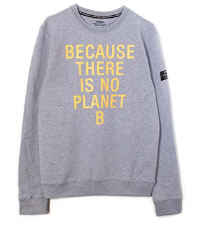 Sweat gris en coton bio - San Diego because