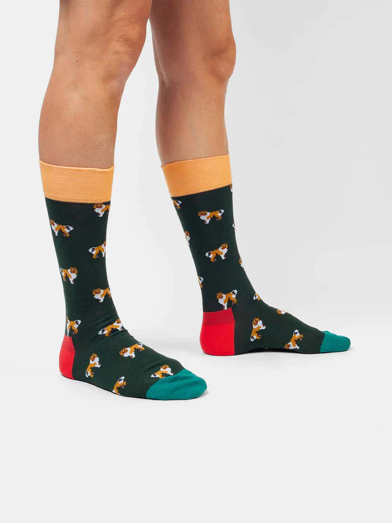 Chaussettes en coton bio | multicolore "who let the dogs out"