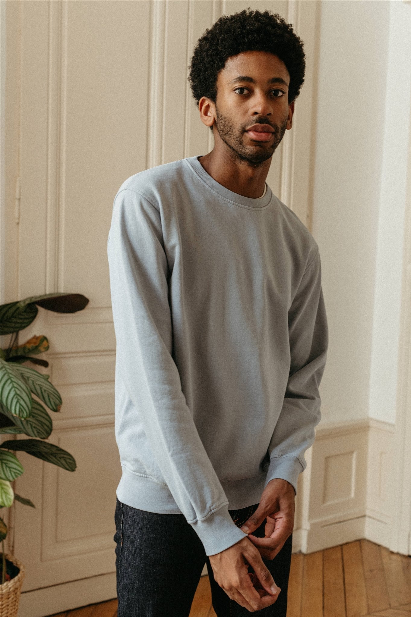 Sweat en coton bio | bleu "Powder Blue"