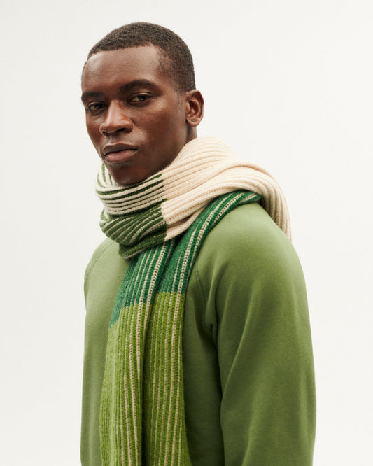 Echarpe en laine certifiée | "central stripes ghede knitted scarf - multicolor"