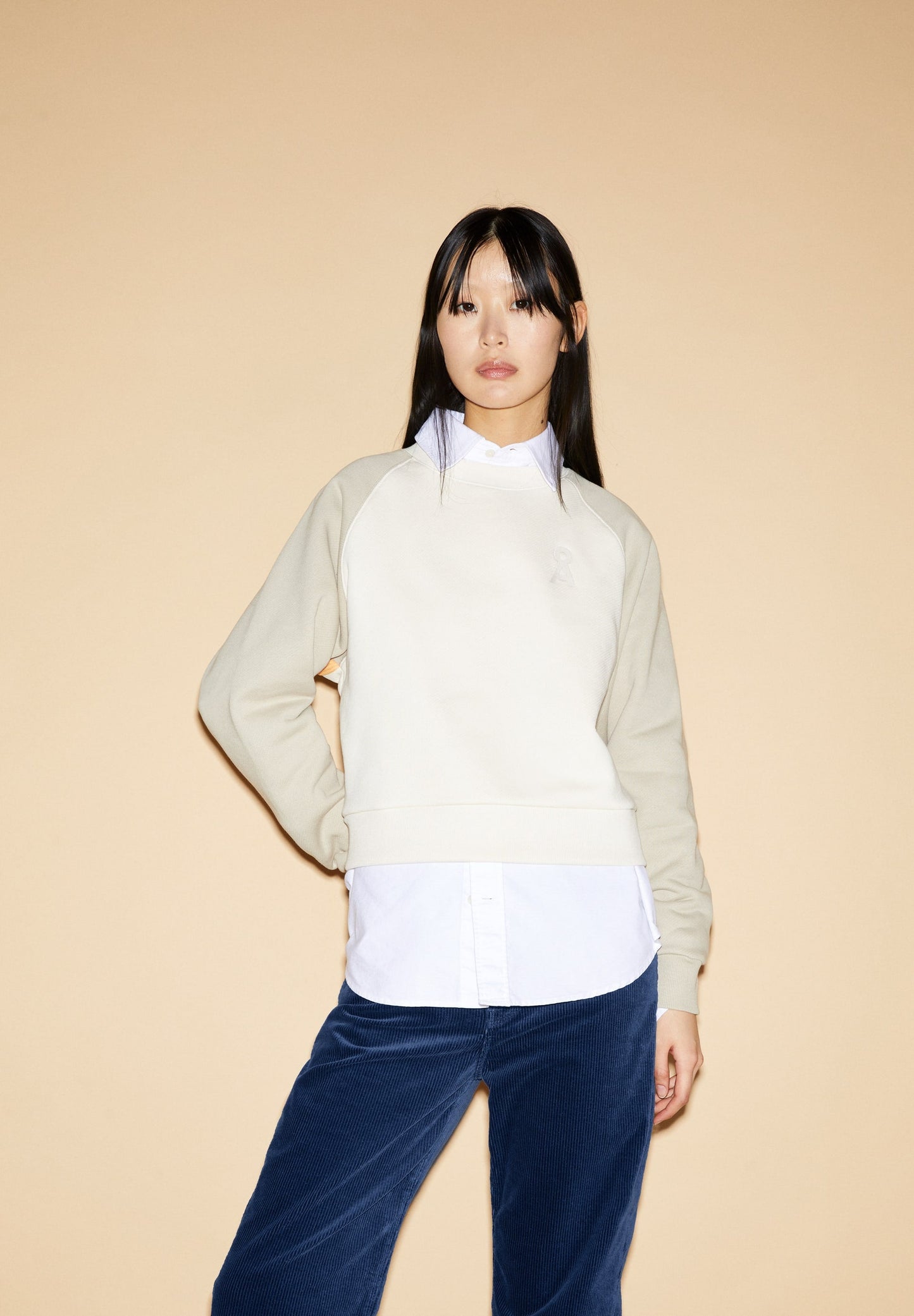 Sweat avec logo brodé en coton bio | Écru "aally gal colorblock sand stone-undyed"
