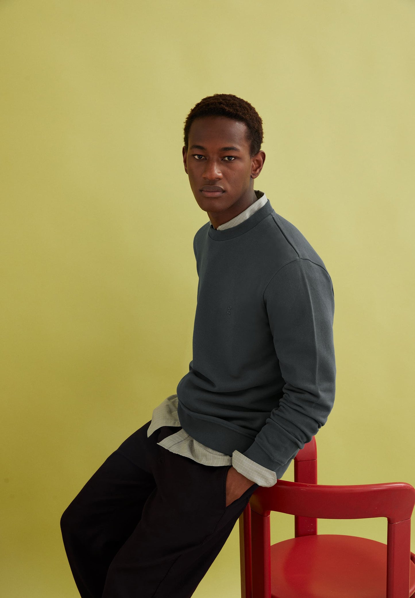 Sweat en coton bio | gris foncé "baaro comfort - space steel"