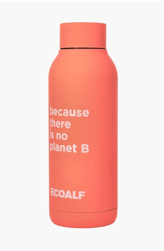 Gourde corail en acier inoxydable - BRONSON STAINLESS