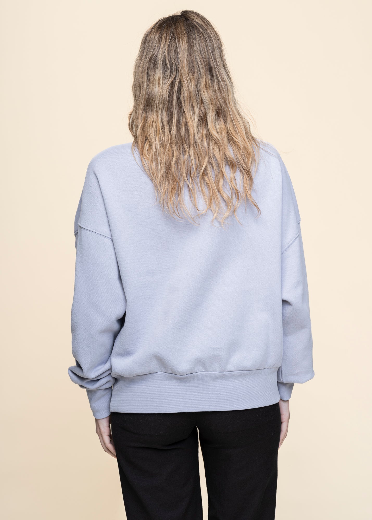 Sweat zippé en coton bio | bleu "tarmenaa iconic å - misty morning"