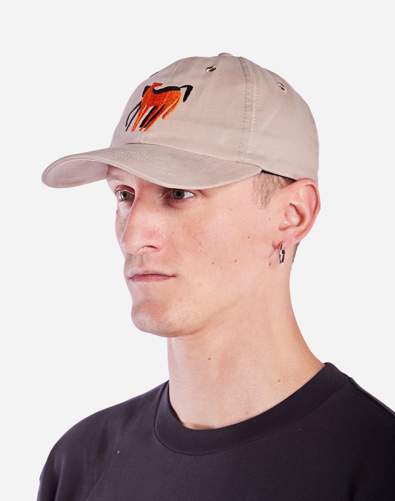 Casquette en coton biologique | beige "casquette six pannel hastar"