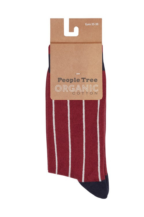 Pack 3 paires de chaussettes en coton bio - daisy
