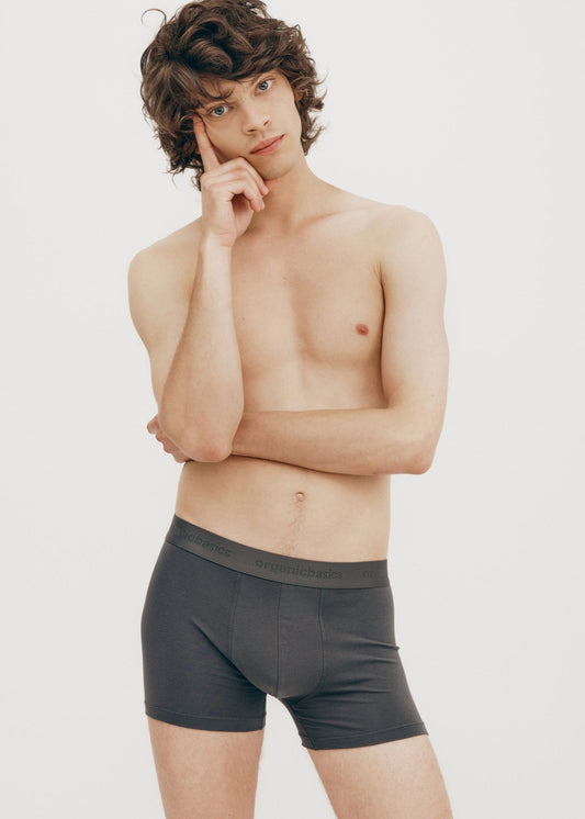Pack 3 boxers en coton bio | Gris "core boxers 3-pack slate"