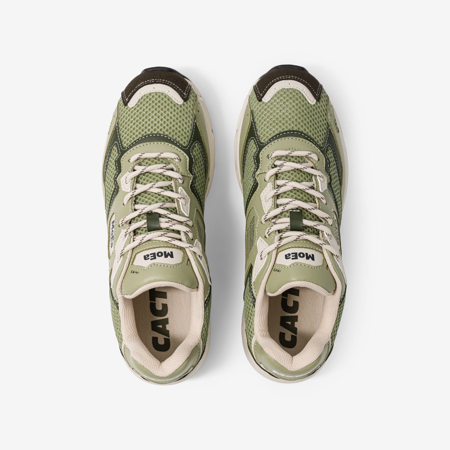 baskets vegan | vert "Gen8 - cactus full aloe"