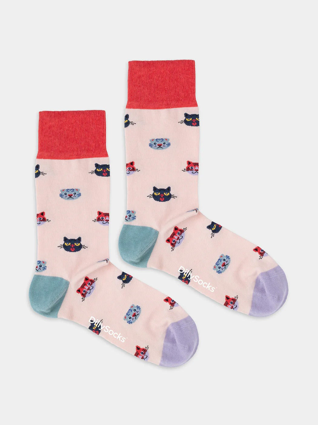 Chaussettes en coton bio | multicolore "curious cats"