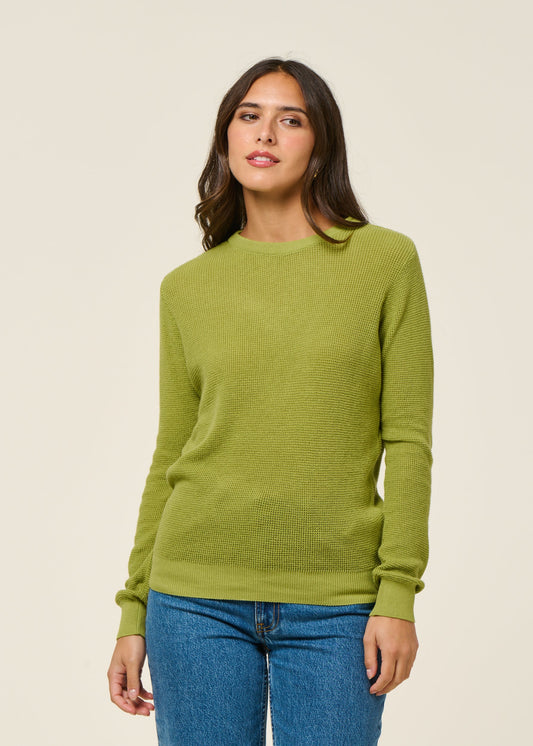 Pull en coton bio | vert "iradi - green"