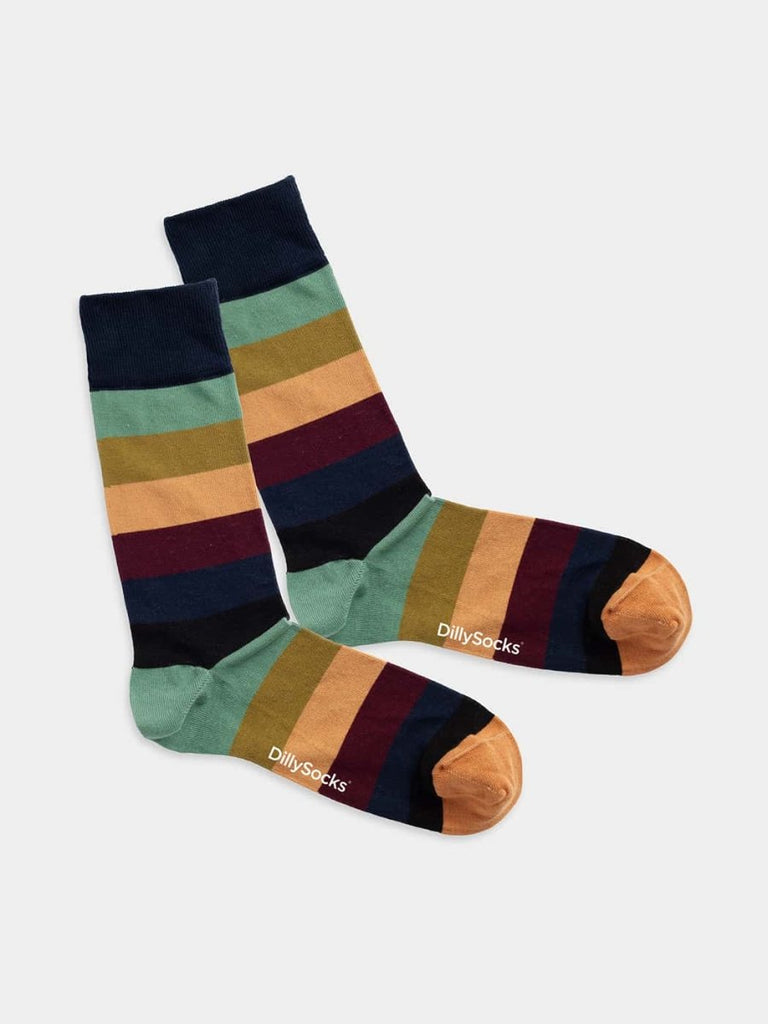 Chaussettes en coton bio | multicolore "fall sky lining  - multicolor stripes"