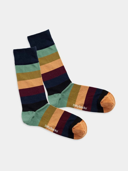 Chaussettes en coton bio | multicolore "fall sky lining  - multicolor stripes"