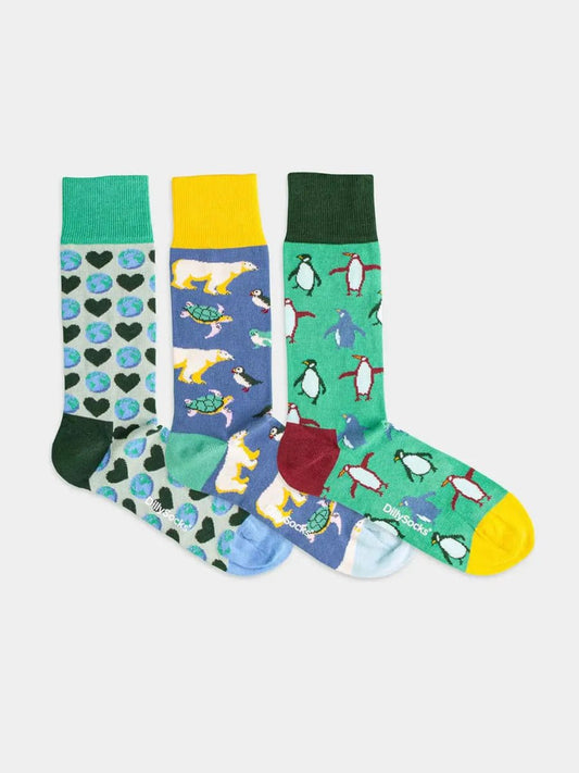 Pack 3 paires chaussettes en coton bio | multicolore "climate box"