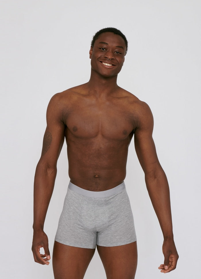 Pack 2 boxers gris en tencel - grey melange
